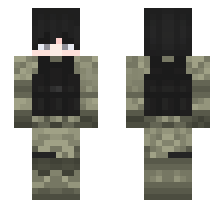 skin
