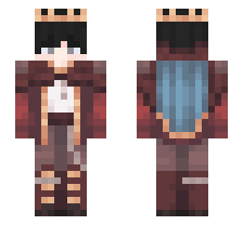 skin