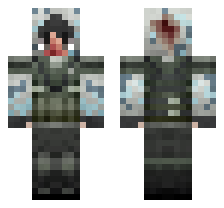 skin