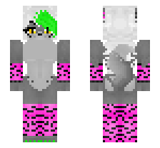 skin
