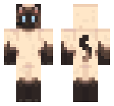 Cat/kitty