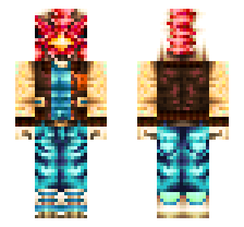 skin
