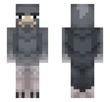 skin