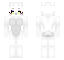 skin