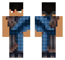 skin
