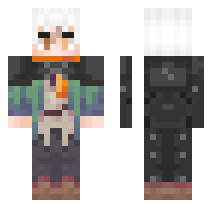 skin