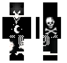 skin