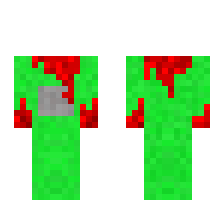 skin