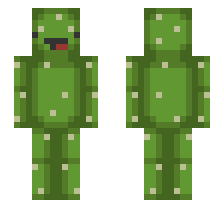 skin