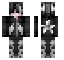 skin