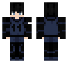 skin