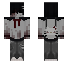 skin