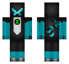 skin