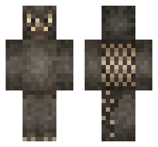 skin