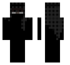 skin