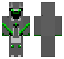 skin