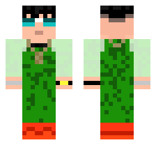 skin