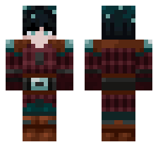 skin