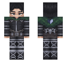 skin