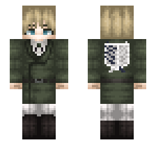 skin