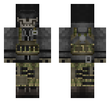 skin