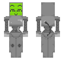 skin