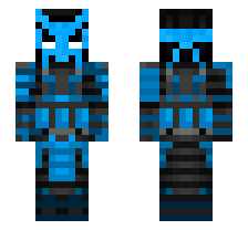 skin