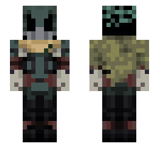 skin