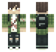 skin