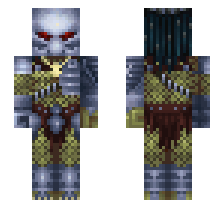 skin