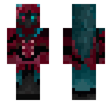 skin
