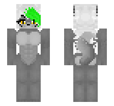 skin