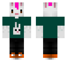 skin