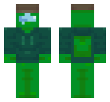 skin
