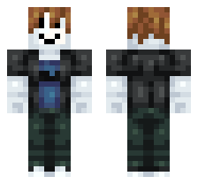 skin