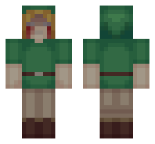 skin