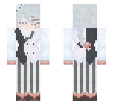 skin