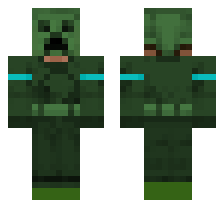 skin