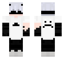 skin