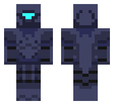skin