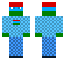 skin