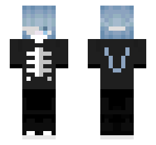skin