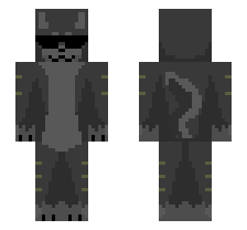 skin