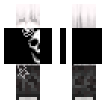 skin