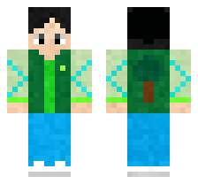 skin