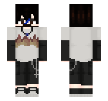 skin