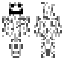 skin