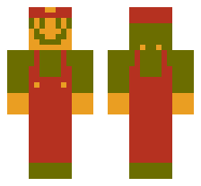 skin
