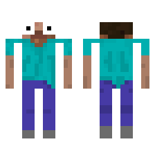 skin