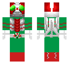 skin